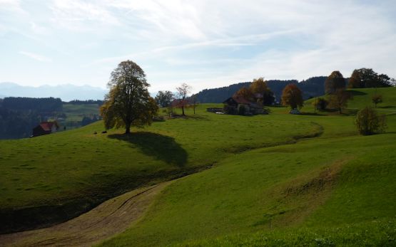 Landschaftstypologie Schweiz